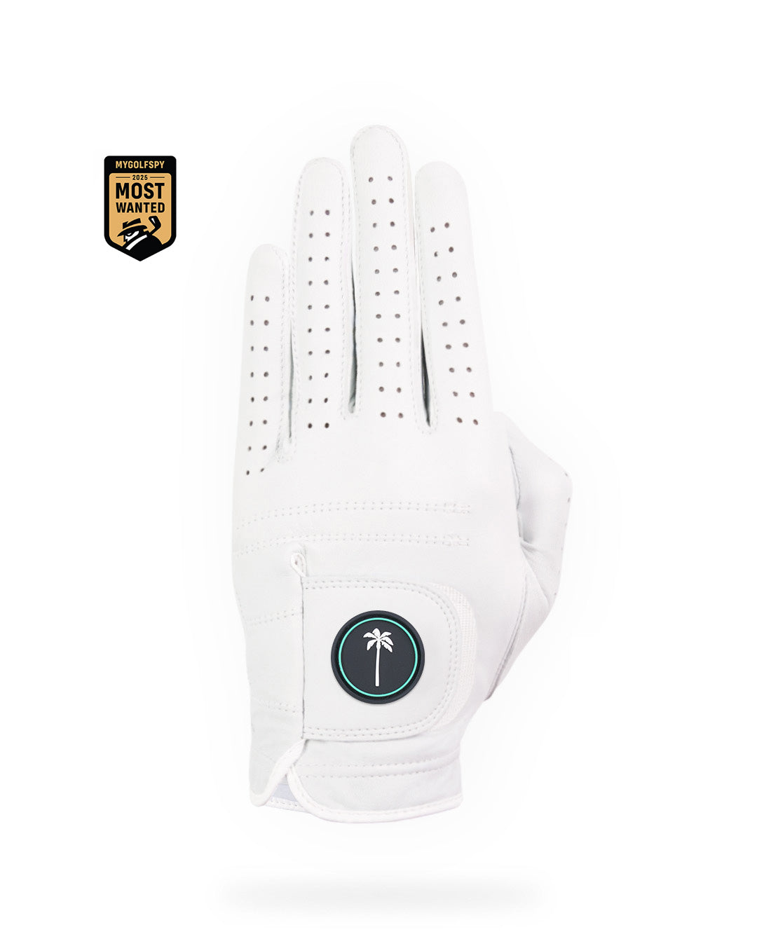 Men's Canvas Glove